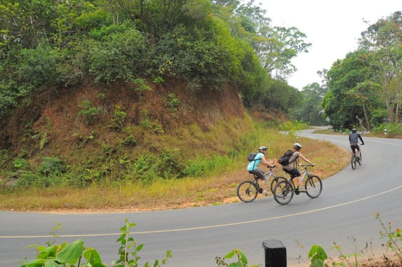 Kochi to Thattekkad - Key Points