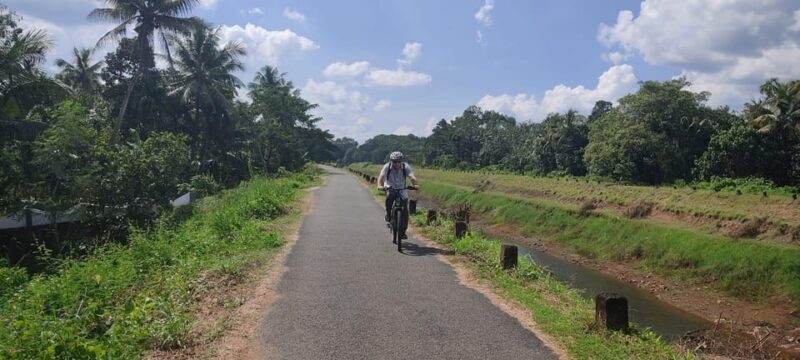 Kochi to Thattekkad - A Closer Look at the Experience