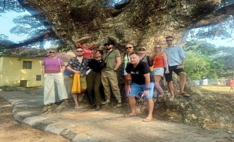 Kochi: Tuk-Tuk Tour with Pickup from Cruise Ships - Exploring Kochi by Tuk-Tuk: An Authentic, Budget-Friendly Adventure