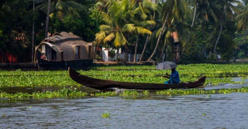 Kochi: Ultimate Kerala and Kumbalangi Village Same Day Tour - Kochi: Ultimate Kerala and Kumbalangi Village Same Day Tour