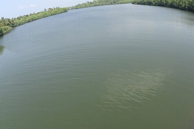 Koggala Lake Tour - Authentic Experiences and Real Traveler Insights