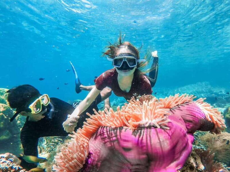 Koh Chang: 3 or 4 Islands Snorkel & Beach Tour by Big Boat - The Sum Up