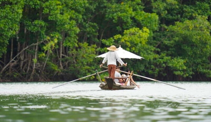 Koh Chang: Mangrove Forest Gondola Tour - Key Points