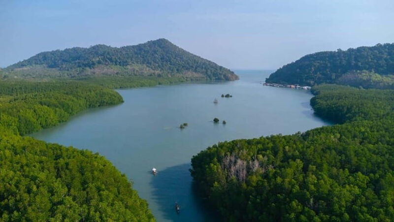 Koh Chang: Mangrove Forest Gondola Tour - Final Thoughts: Is It Worth It?