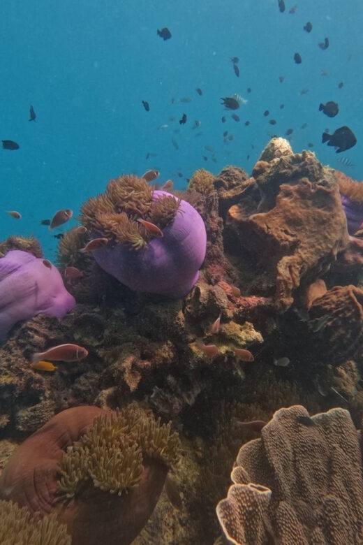 Koh Kood: Snorkeling Speedboat Tour with Lunch and Transfer - Final Thoughts