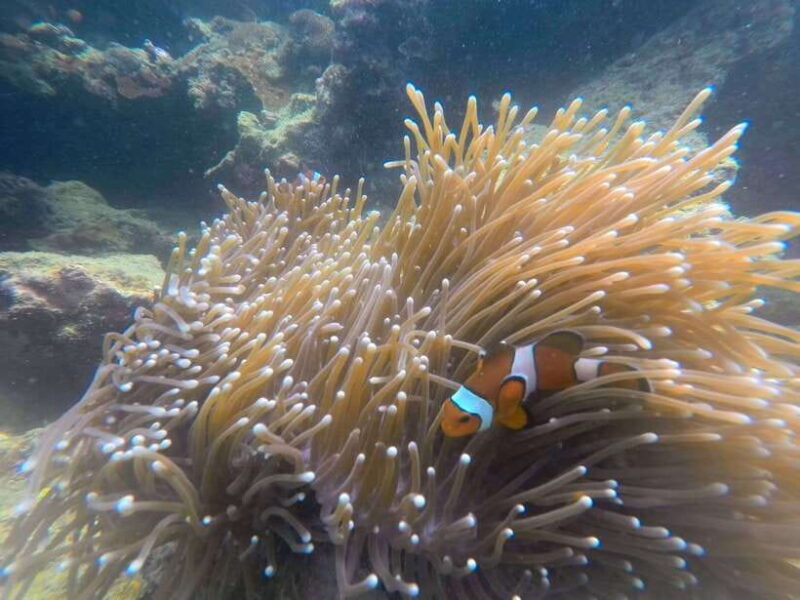 Koh Lanta: 4-Island Adventure Tour to Emerald Cave - Who Will Love This Tour?