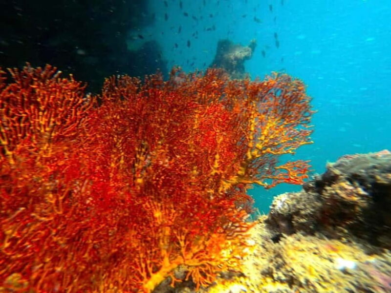 Koh Lanta: 4 Islands and Emerald Cave Snorkeling Trip - An In-Depth Look at the Tour Experience