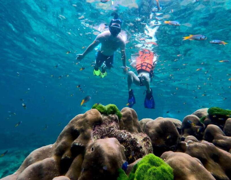 Koh Lanta: 4 Islands, Emerald Cave & Koh Kradan by Speedboat - Key Points