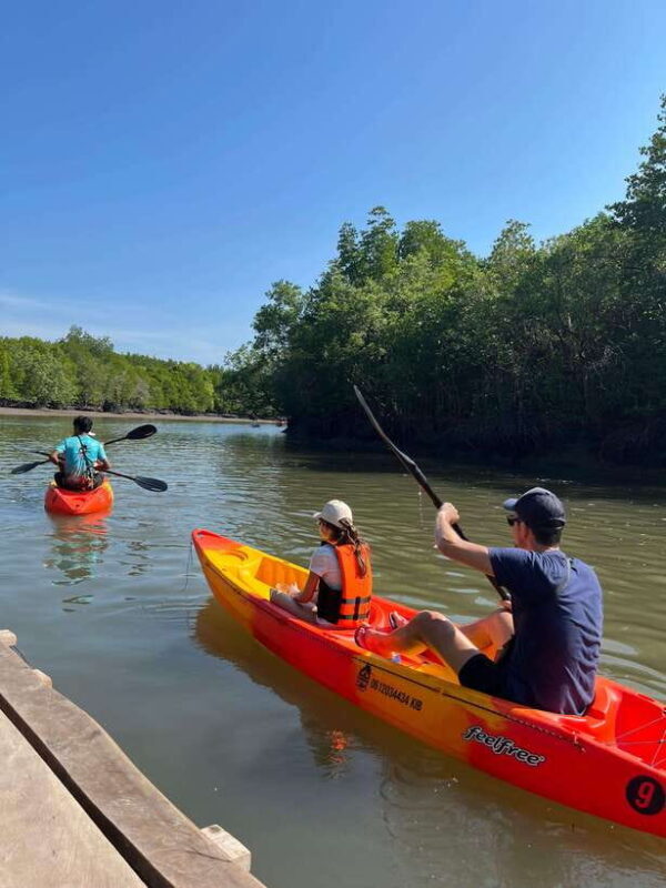 Koh Lanta: Amazon Mangrove Kayaking Tour With Lunch - Experience the Best of Koh Lanta’s Mangroves with a Kayaking Adventure and Local Lunch