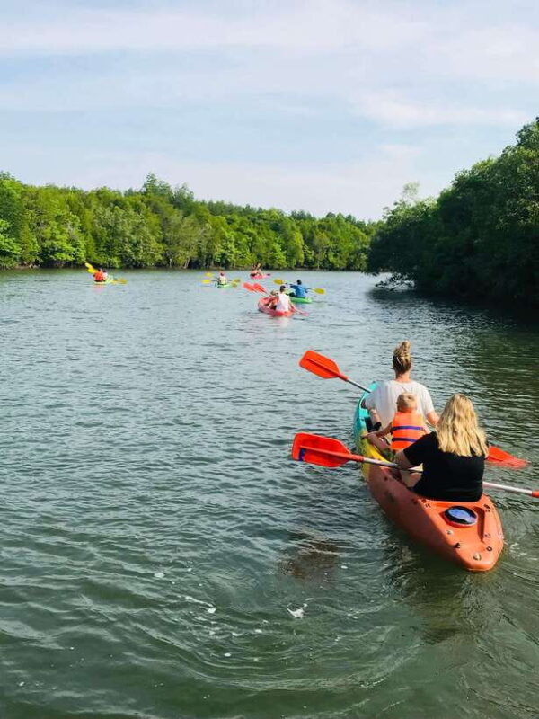 Koh Lanta: Amazon Mangrove Kayaking Tour With Lunch - FAQ