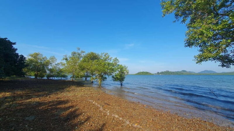 Koh Lanta Cultural Tuk-Tuk Tour: Old Town, Batik & Mangroves - The Batik Studio Experience