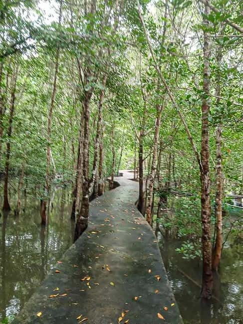 Koh Lanta Cultural Tuk-Tuk Tour: Old Town, Batik & Mangroves - Practical Tips and Considerations