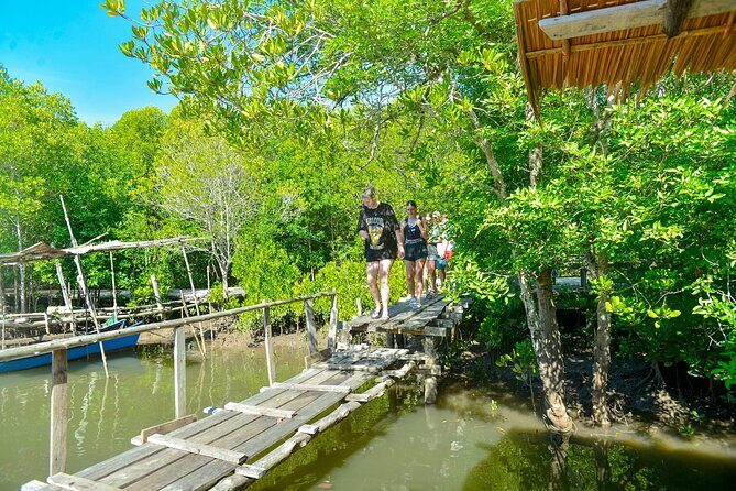 Koh Lanta Mangrove and Monkey Point Longtail Boat Tour - Practical Details and Tips