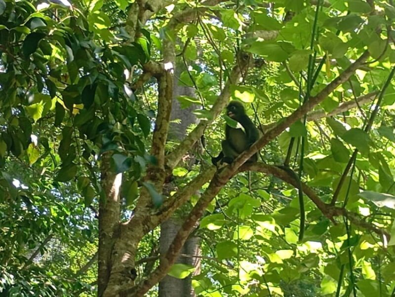 Koh lanta National park and old town half day tour - Final Thoughts