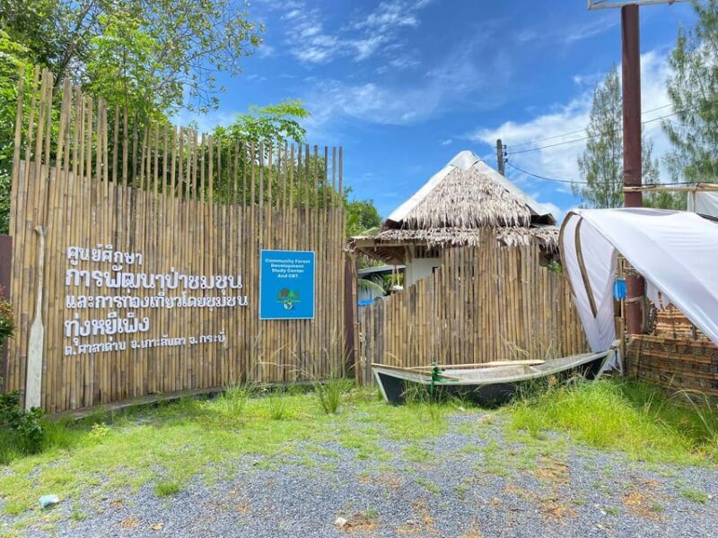 Koh Lanta:Mangrove + Elephant Camp Half Day Tour - Key Points