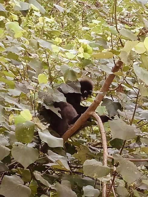 Koh lanta:National Park + Old Town + Local Island Day Tour - Who Will Love This Tour?