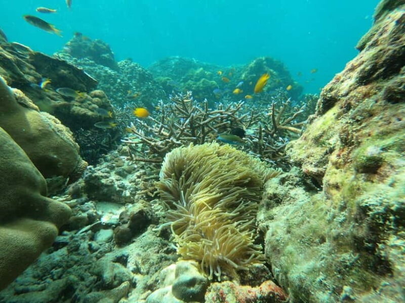 Koh Phi Phi: Halfday Sunset Bamboo & Nui Bay Speedboat Tour - Exploring Koh Phi Phi’s Hidden Gems by Speedboat