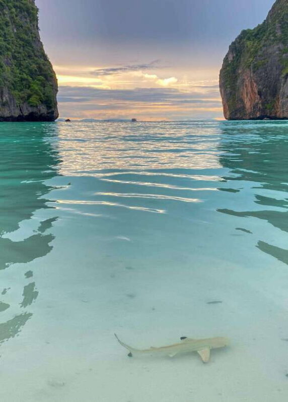 Koh Phi Phi: Maya Bay Private Longtail Boat Tour - The Experience: What to Expect on This Tour