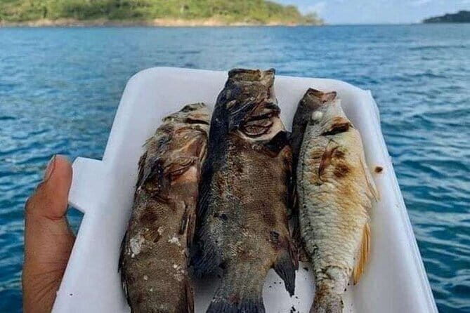 Koh Rong Fishing & Snorkeling tour (Private) - What Works Well on This Tour