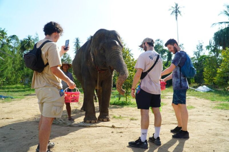 Koh Samui: 4x4 Sightseeing Safari & Elephant Sanctuary Tour - Key Points
