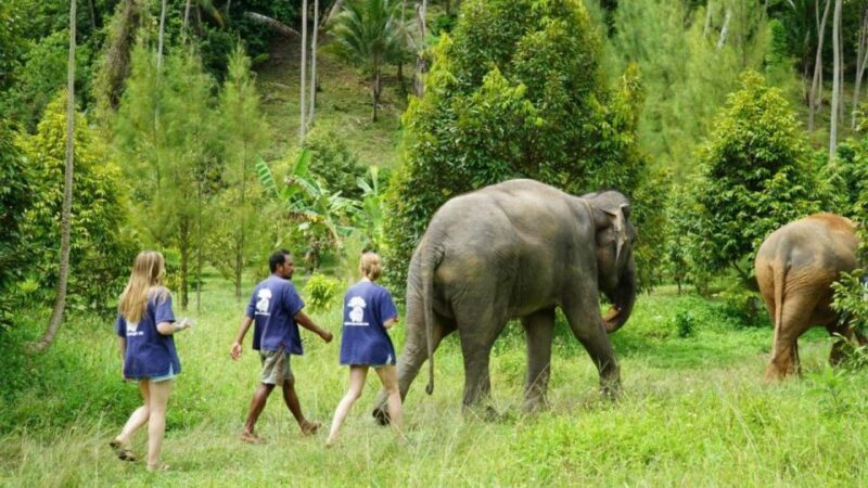 Koh Samui: 4x4 Sightseeing Safari & Elephant Sanctuary Tour - A Deep Dive Into the Koh Samui Safari & Elephant Tour