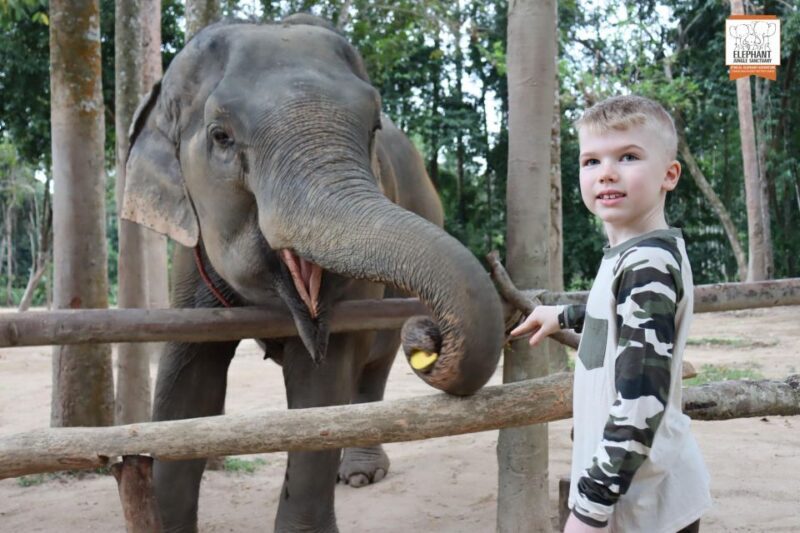 Koh Samui: Elephant Sanctuary Entry and Feeding Experience - A Closer Look at the Experience