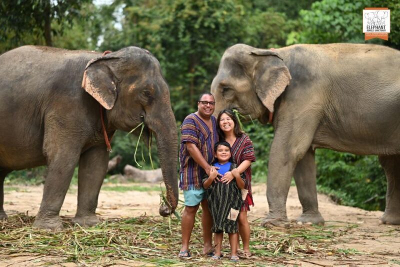 Koh Samui: Elephant Sanctuary Entry and Feeding Experience - What’s included