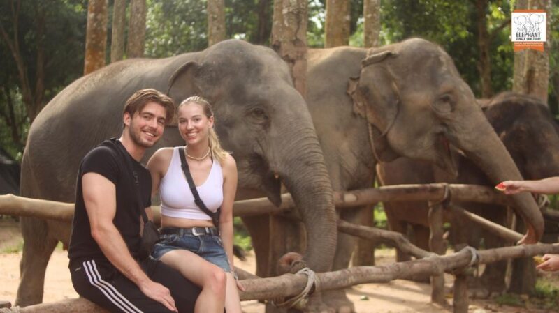 Koh Samui: Elephant Sanctuary Entry and Feeding Experience - Reviews and Authentic Voices