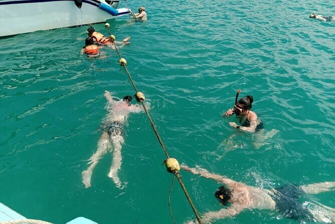 Koh Samui Island Hopping Adventure in Coral and Pig Island - Key Points