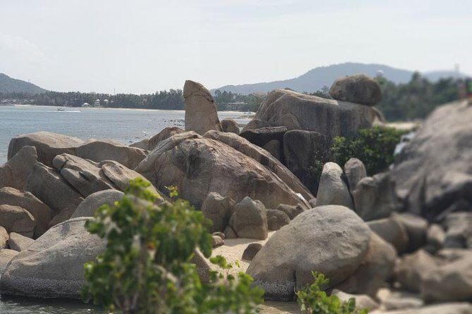 Koh Samui Jungle Safari Around The island Tour - A Deep Dive into Koh Samuis Jungle Safari Experience