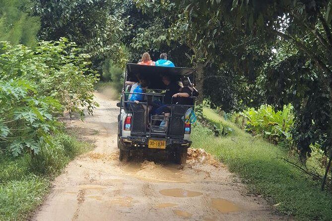 Koh Samui Jungle Safari Around The island Tour - The Sum Up