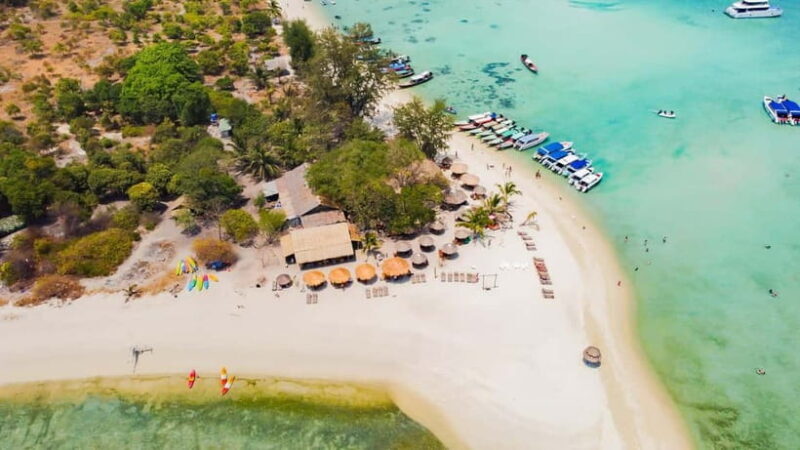 Koh Samui: Pig Island Day Tour by Speedboat - Practical Aspects and What to Expect