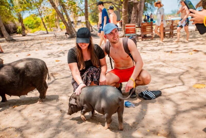 Koh Samui: Pig Island Day Tour by Speedboat - Who Should Consider This Tour?