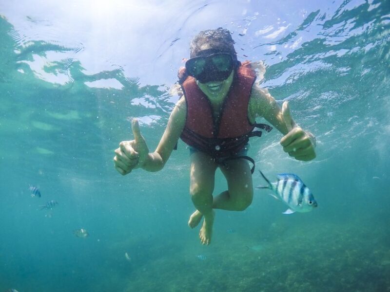 Koh Samui: Pig Island & Koh Tan Snorkeling by Speed boat - Snorkeling at Koh Tan: Colorful Marine Life