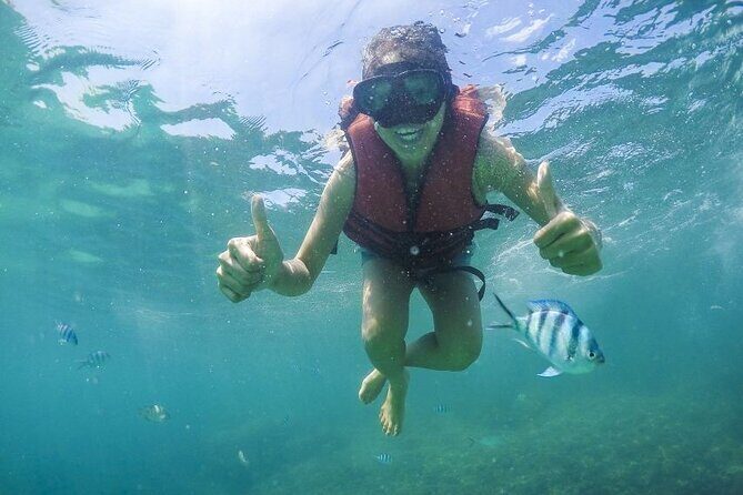 Koh Samui Pig Island Tour by Speedboat with Snorkeling - Authentic Experiences and What Travelers Say