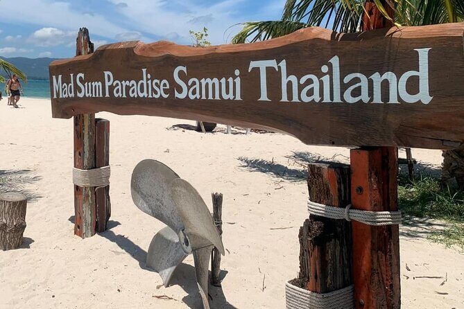 Koh Samui Pig Island Tour by Speedboat with Snorkeling - The Sum Up: Who Is This Tour Perfect For?
