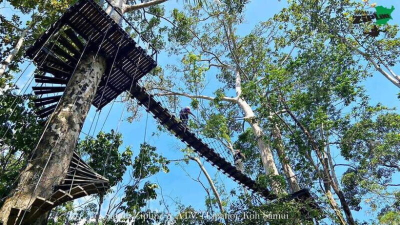 Koh Samui: Samui Zipline Adventure with Transfer service - The Sum Up