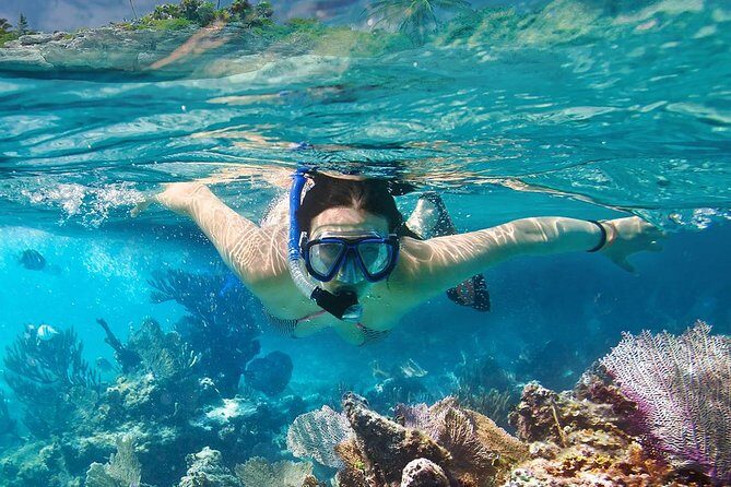 Koh Taen & Mudsum: Island Hopping and Snorkeling from Koh Samui - Final Thoughts