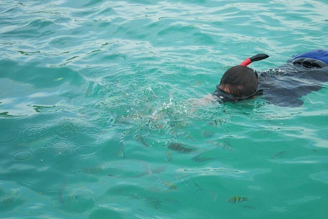 Koh Tan and Koh Madsum Snorkeling Trip By Speedboat From Koh Samui - Exploring the Tour in Detail: What to Expect