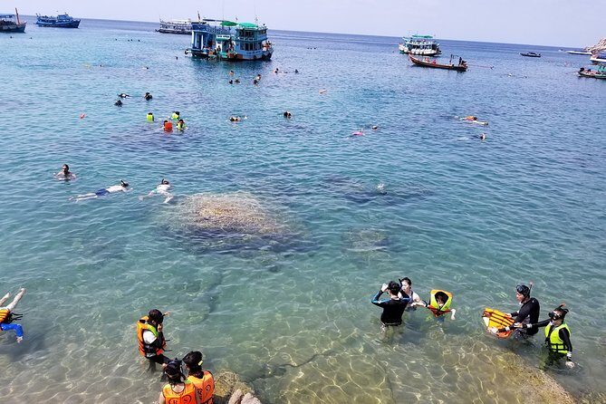 Koh Tao and Koh Nang Yuan Snorkeling Trip By Speedboat From Koh Samui - FAQ