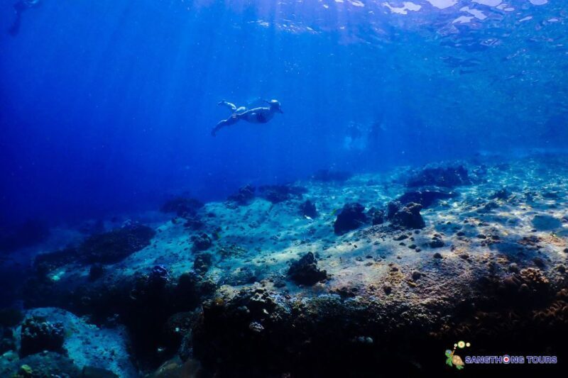 Koh Tao: Islands Snorkeling Highlights Day Tour & Lunch - Exploring Koh Tao’s Snorkeling Paradise