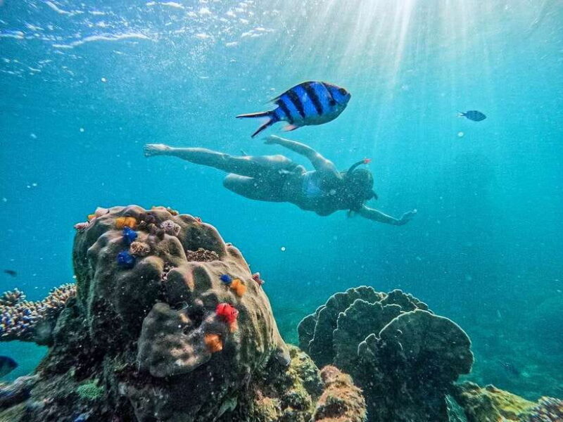 Koh Tao: Koh Nangyuan & Hidden Bays Snorkeling Tour w/ Lunch - Exploring Koh Tao’s Underwater World and Coastal Charms