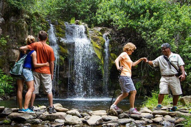 Kohala Waterfalls Small Group Adventure Tour - FAQs