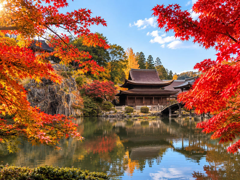 Kokeizan Eiho-ji Temple + Oboke Gorge + Ena Gorge + Magome-juku & Tsumago-juku (From Nagoya) - Guides, buses, and the small details that matter