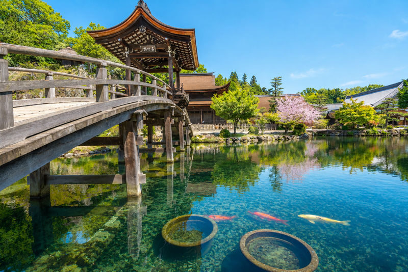 Kokeizan Eiho-ji Temple + Oboke Gorge + Ena Gorge + Magome-juku & Tsumago-juku (From Nagoya) - What the price buys you
