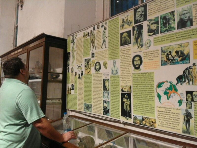 Kolkata: Full-Day City Tour for an immersive experience - FAQ