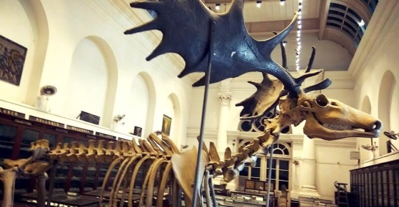 Kolkata: Guided Heritage Walking Tour - Final Thoughts