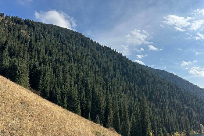 Kolsai Kaindy Lakes and Charyn Canyon Day Tour Lunch Included - Final Thoughts