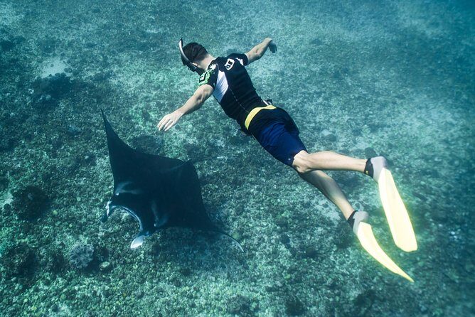 Komodo Private Boat tour 3Days 2 Night - Exploring the Itinerary in Detail