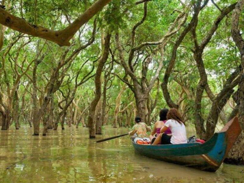 Kompong Phluk Floating village & Mangrove forest Cruise Tour - Who Will Love This Tour?